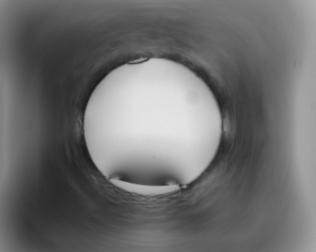 X0000095911492200802081042