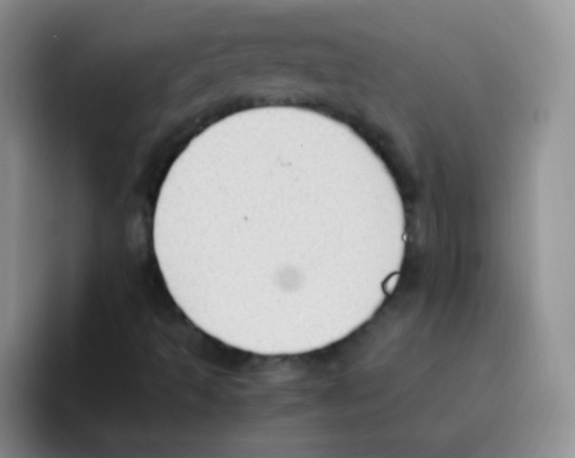 X0000095911493200802081042