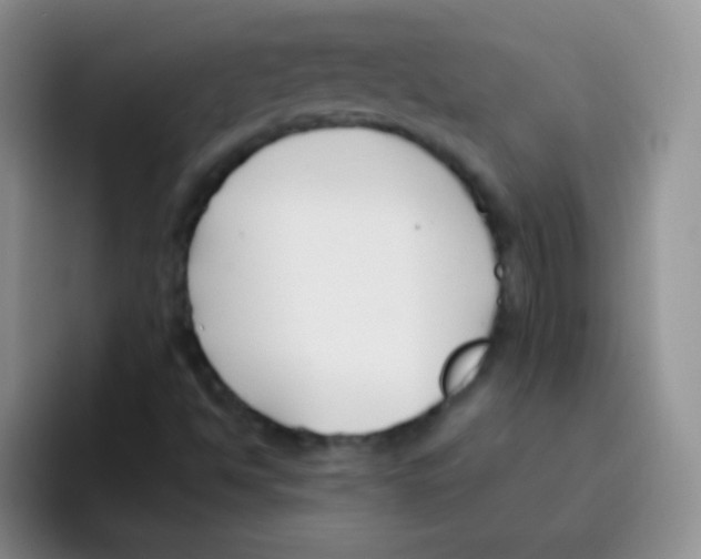 X0000095911494200802081042