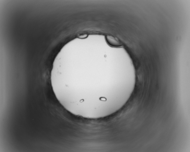 X0000095911495200802081042