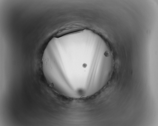 X0000095911496200802081042