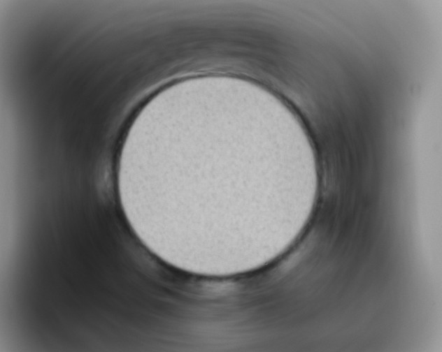 X0000095911498200802081042