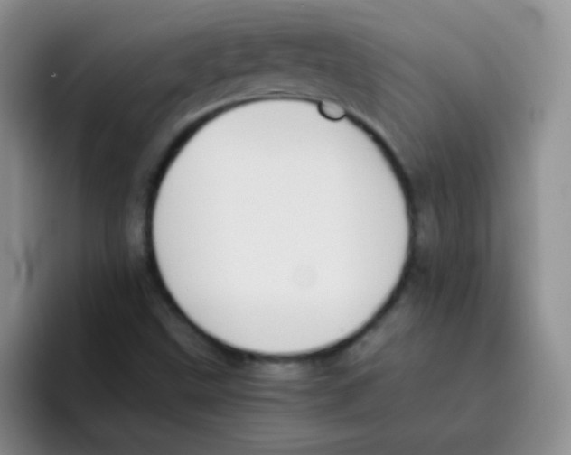 X0000095911499200802081042