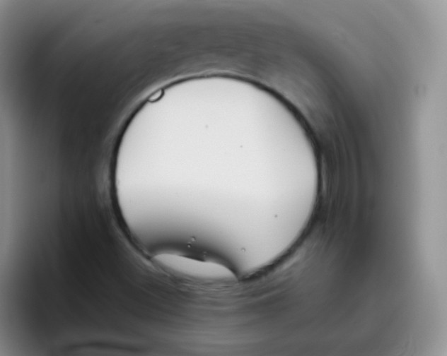 X0000095911500200802081042