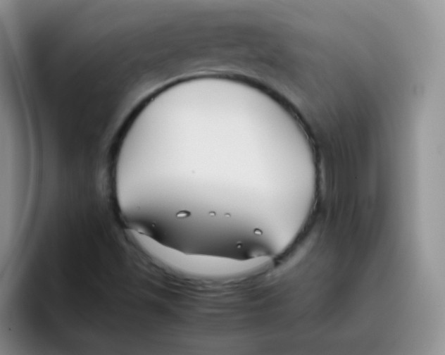 X0000095911501200802081042