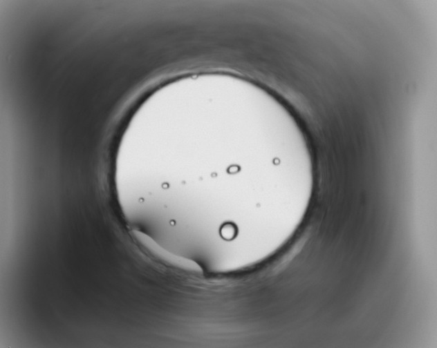 X0000095911502200802081042