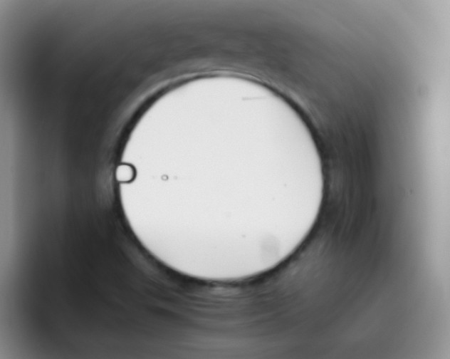 X0000095911503200802081042