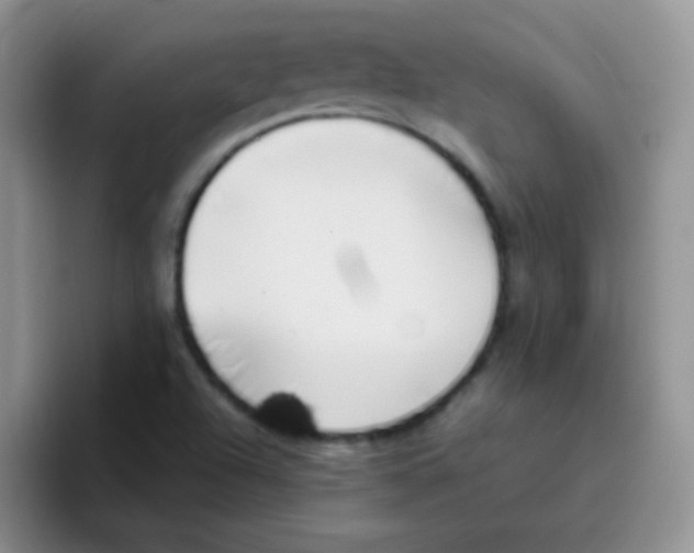 X0000095911504200802081042