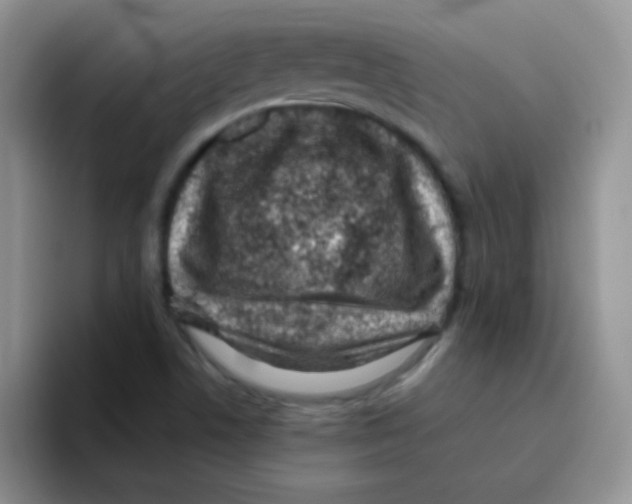 X0000095911506200802081042