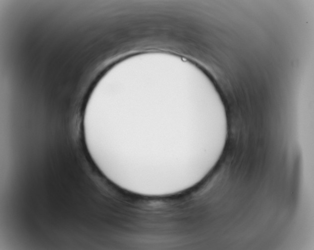 X0000095911507200802081042