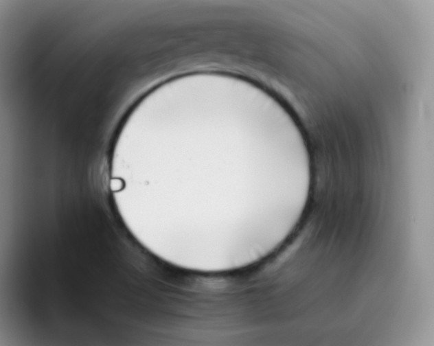 X0000095911509200802081042