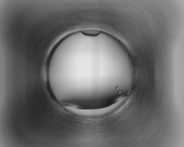 X0000095911510200802081042