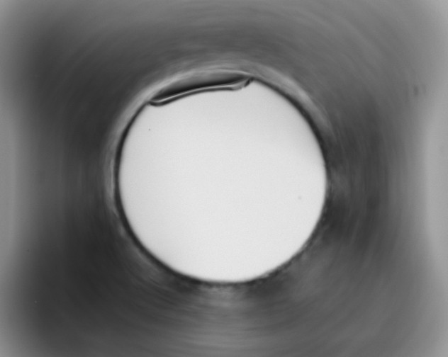 X0000095911512200802081042