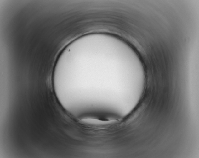 X0000095911513200802081042