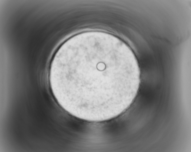 X0000095911514200802081042