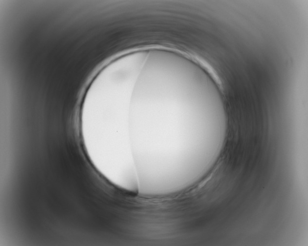 X0000095911516200802081042