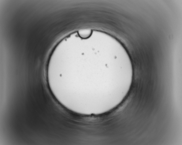 X0000095911517200802081042