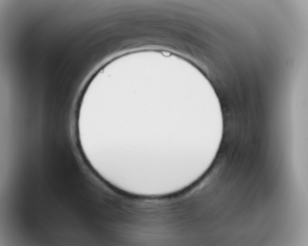 X0000095911518200802081042