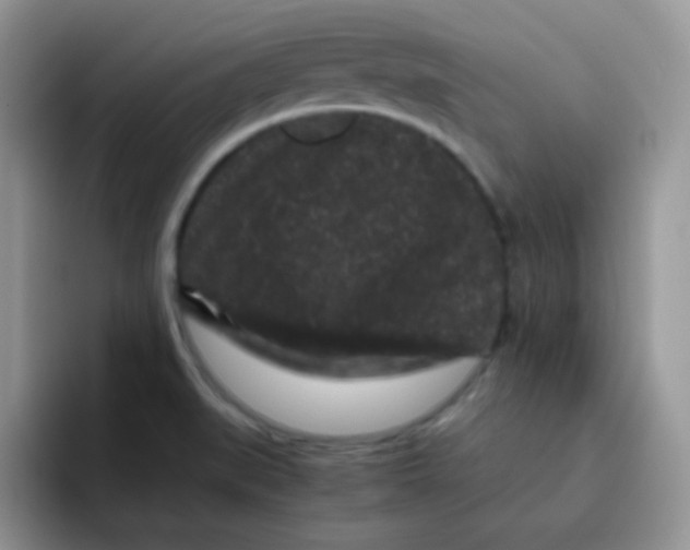 X0000095911519200802081042