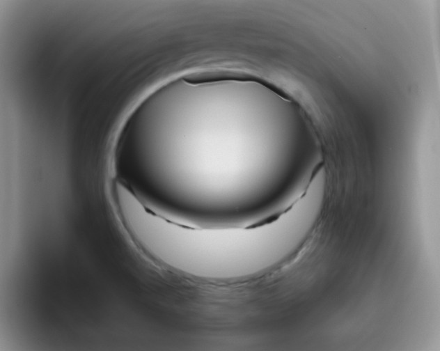 X0000095911520200802081042