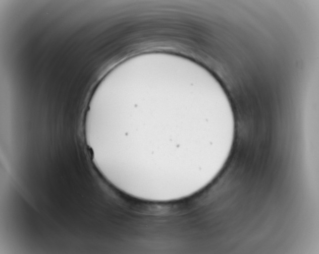 X0000095911521200802081042