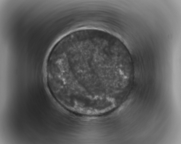 X0000095911522200802081042