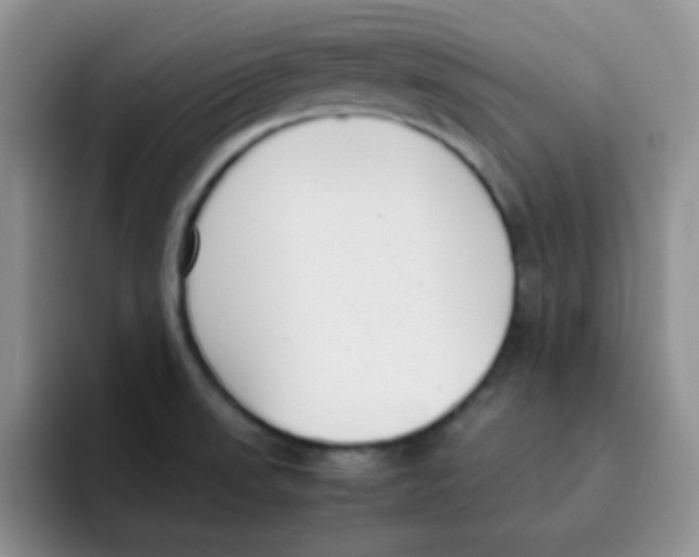 X0000095911523200802081042