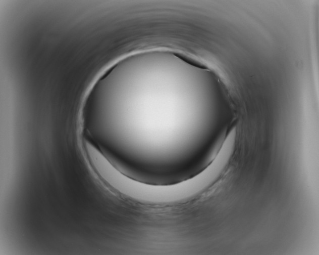 X0000095911524200802081042