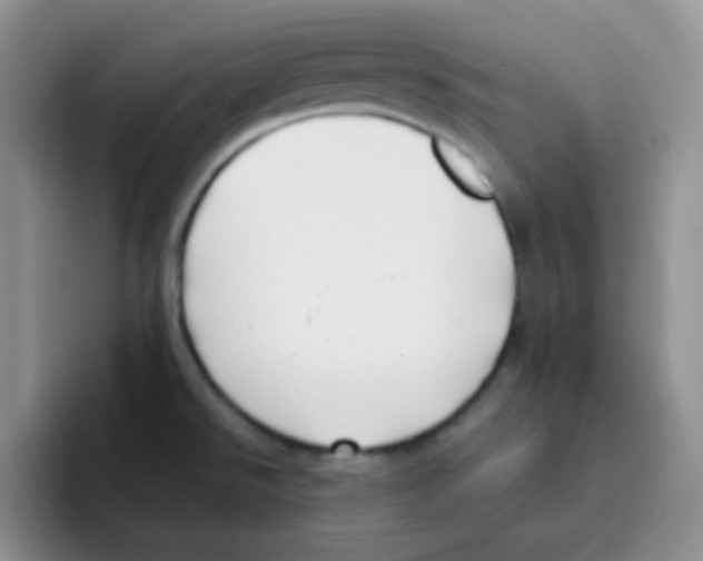 X0000095911526200802081042