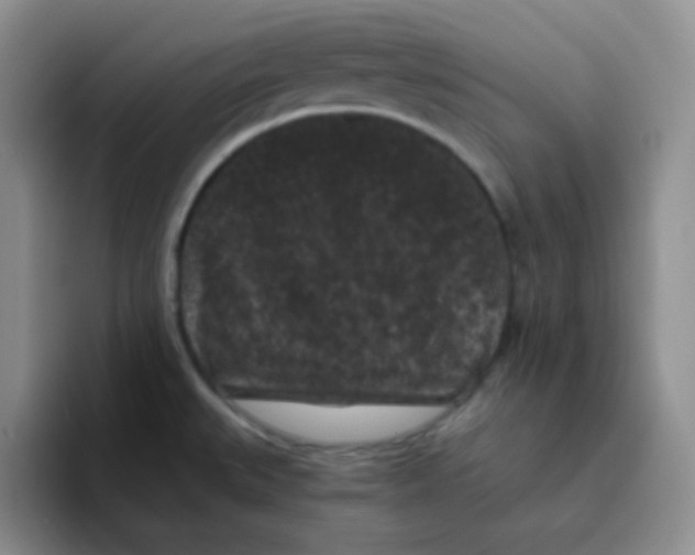 X0000095911527200802081042