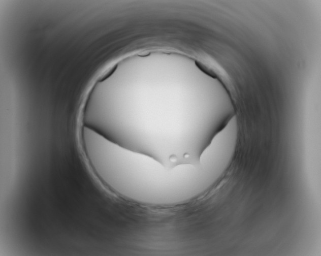 X0000095911528200802081042