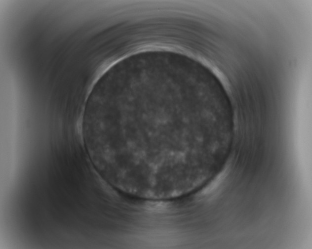 X0000095911529200802081042