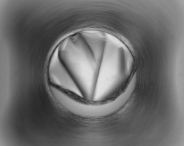 X0000095911530200802081042