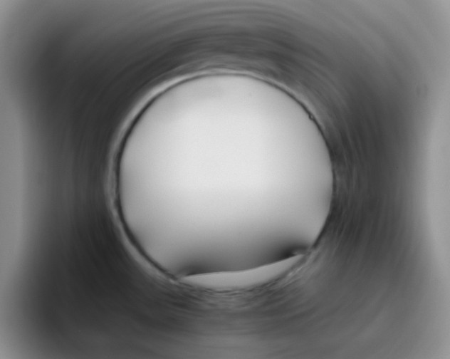 X0000095911531200802081042