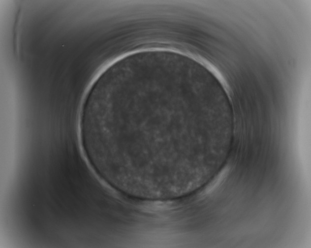 X0000095911533200802081042