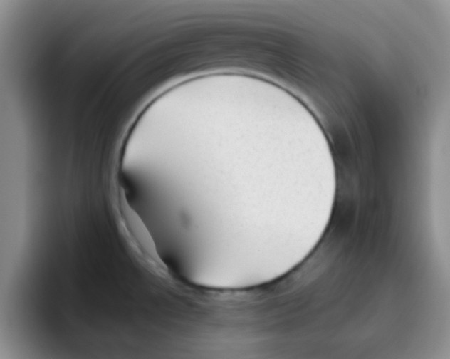 X0000095911534200802081042