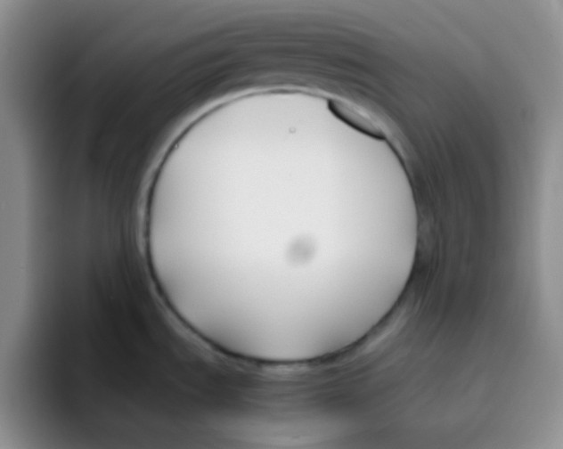 X0000095911535200802081042