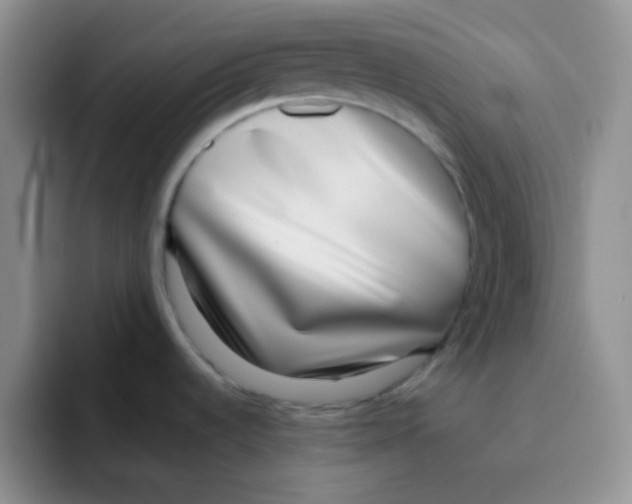 X0000095911536200802081042