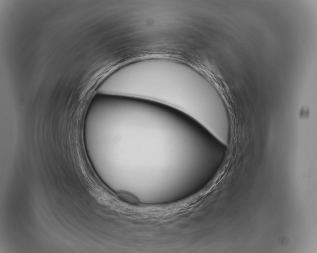 X0000095920001200801110905