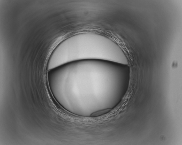 X0000095920003200801110905