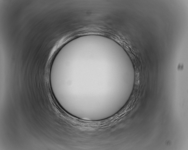 X0000095920004200801110905