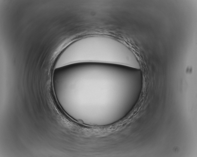 X0000095920005200801110905