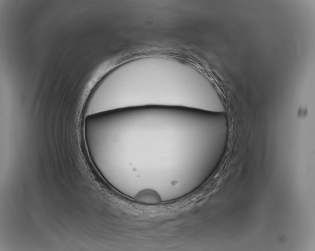 X0000095920006200801110905