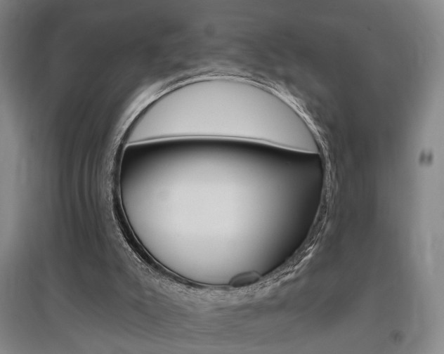 X0000095920007200801110905