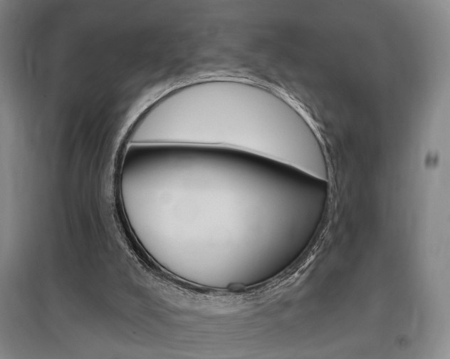 X0000095920008200801110905