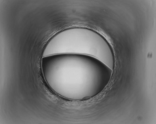X0000095920009200801110905