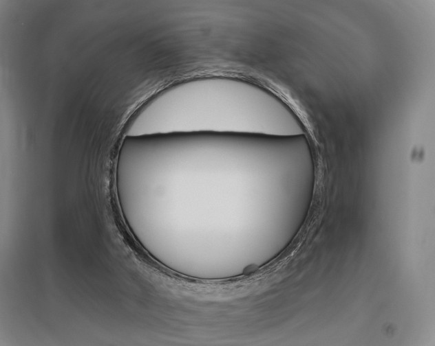 X0000095920010200801110905