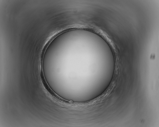 X0000095920011200801110905