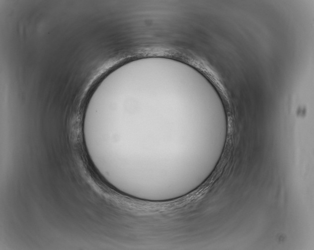 X0000095920012200801110905