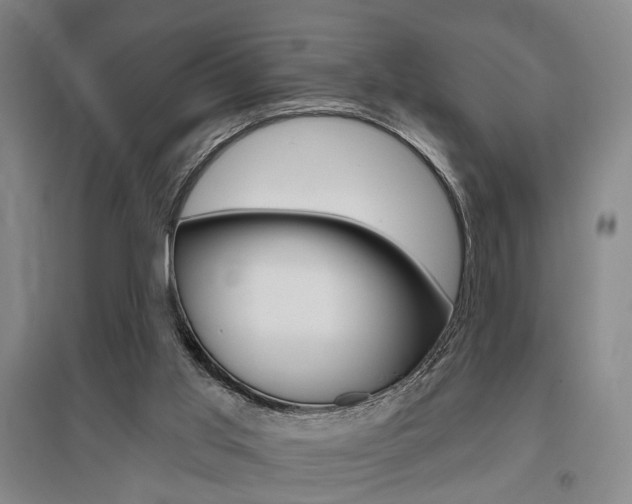 X0000095920013200801110905